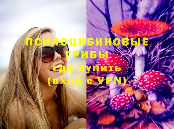 a pvp Михайловск