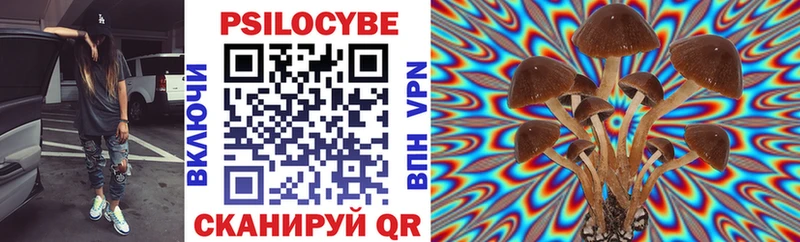 Галлюциногенные грибы мицелий  Купить закладки  Ивдель 