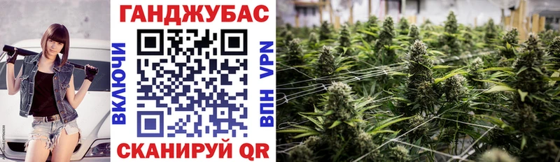 Купить закладки  Ивдель  Каннабис Amnesia 